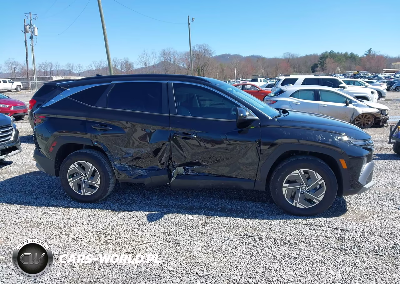 2025 Hyundai Tucson Hybrid Blue VIN:KM8JBDD14SU393405 - 13