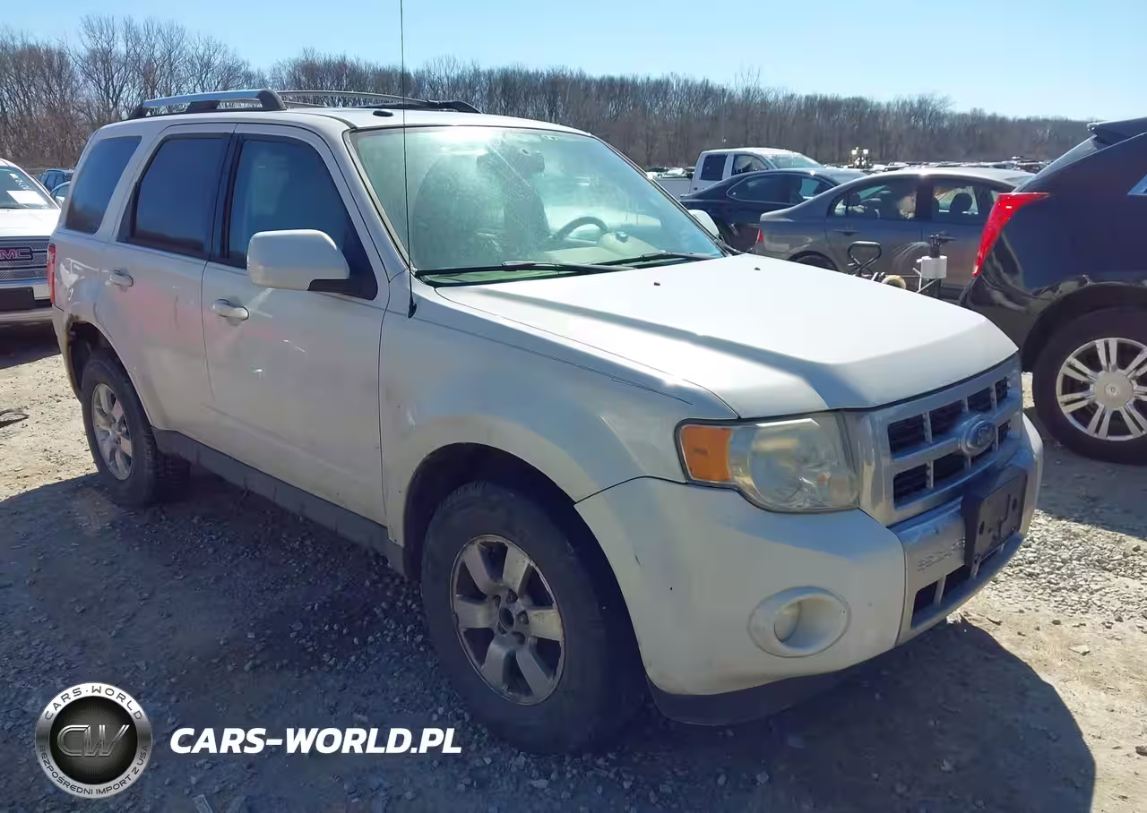 2009 Ford Escape Limited