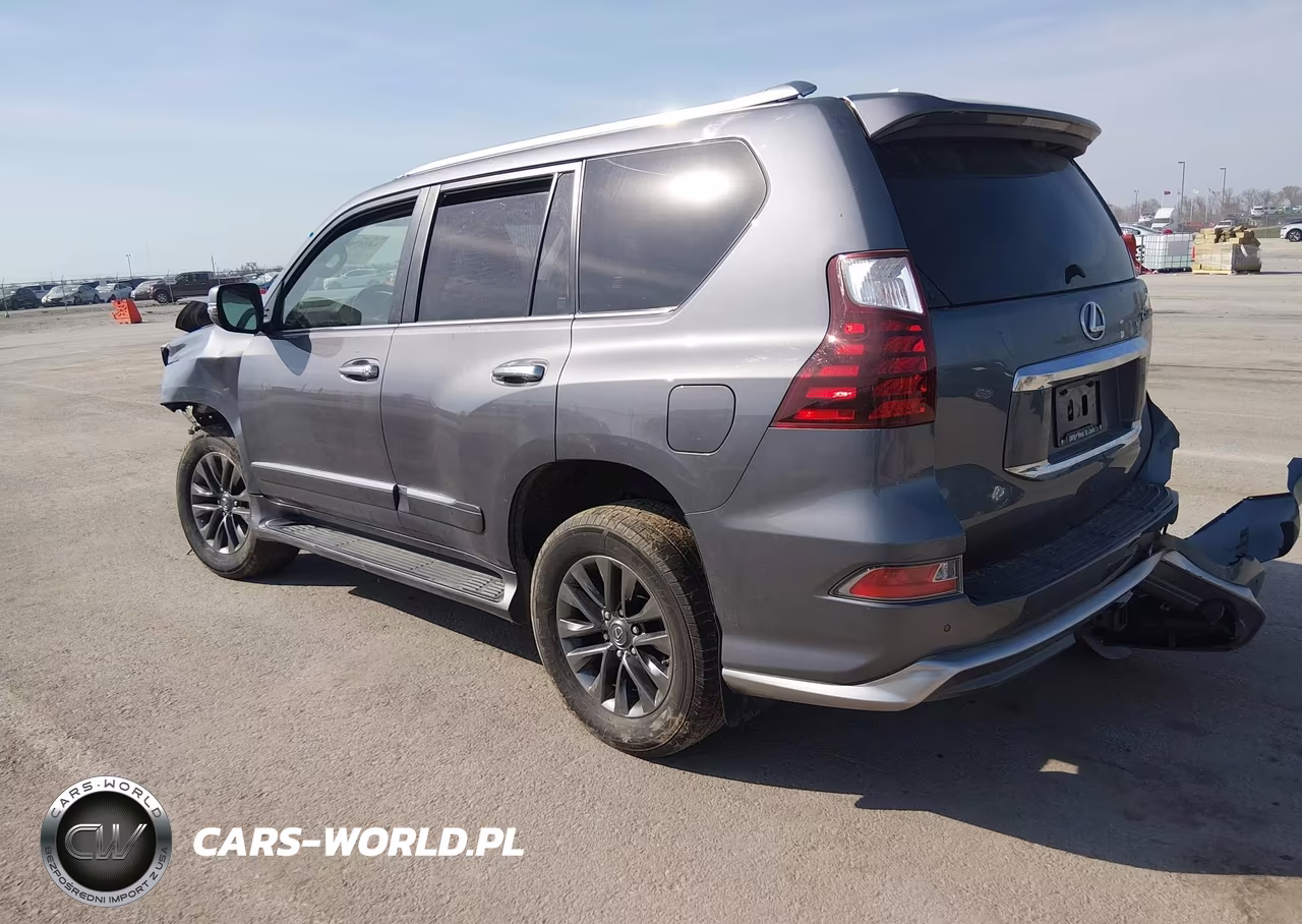 2019 Lexus Gx 460 Premium VIN:JTJBM7FXXK5232425 - 3
