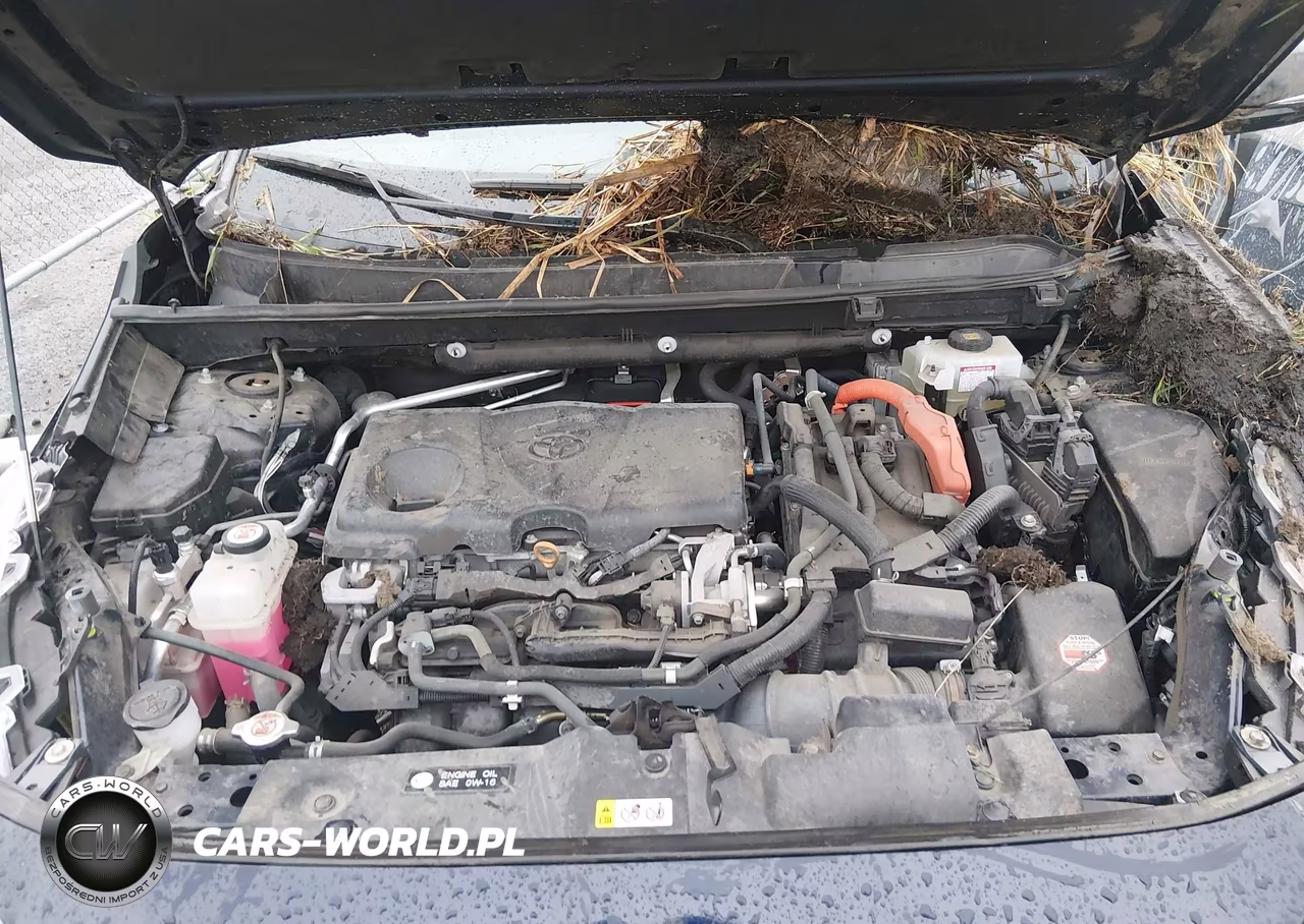 2020 Toyota Rav4 Hybrid Xse VIN:4T3EWRFV0LU006084 - 10