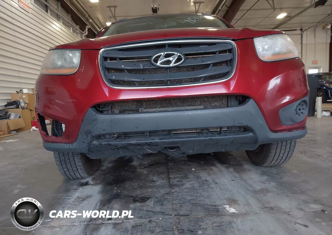 2010 Hyundai Santa Fe Gls VIN:5NMSGDAB7AH350206 - 6