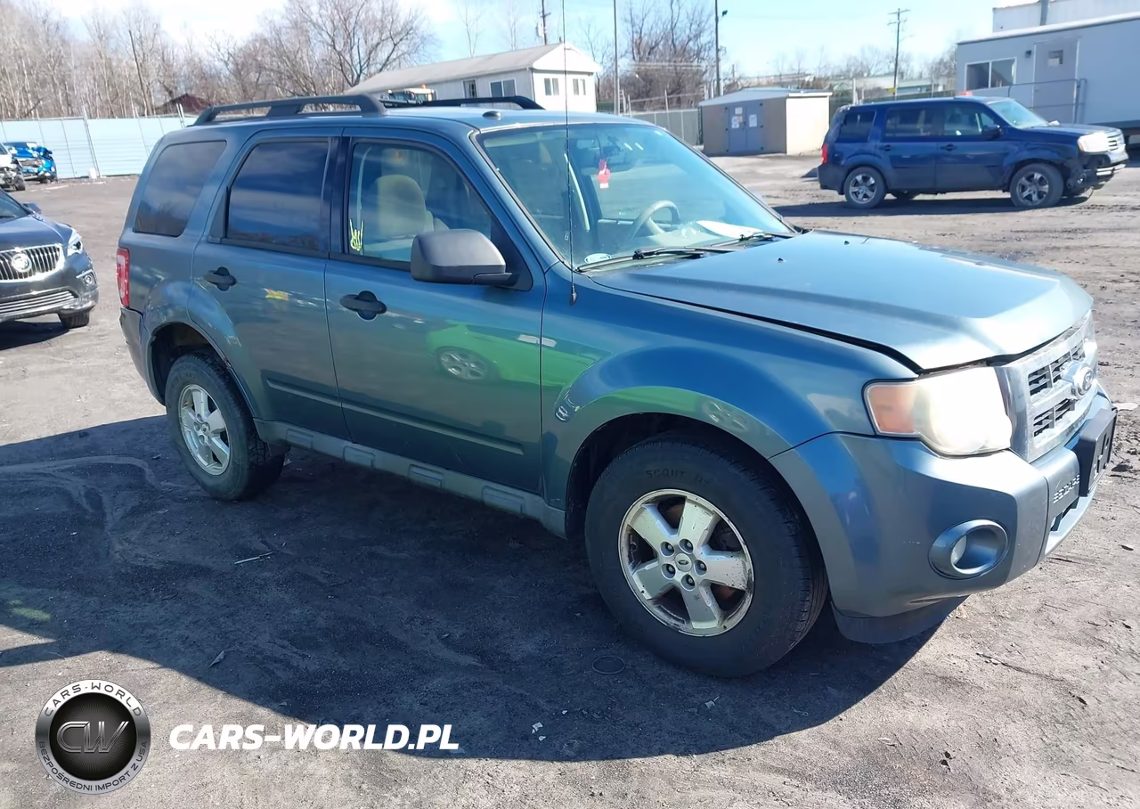 2010 Ford Escape Xlt