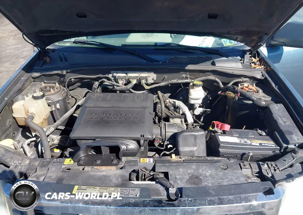 2010 Ford Escape Xlt VIN:1FMCU0DG5AKB79484 - 10
