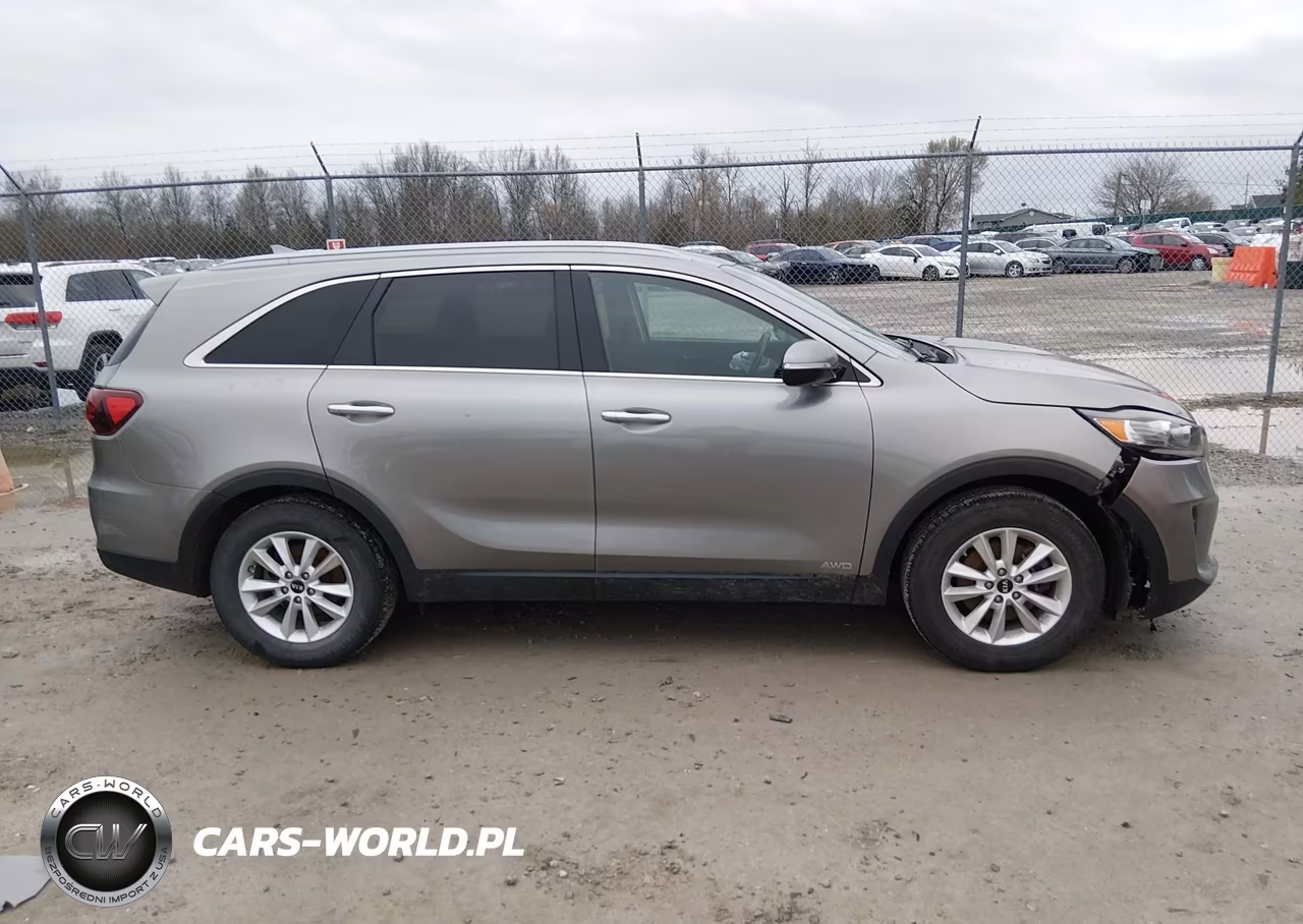 2019 Kia Sorento 2.4L Lx VIN:5XYPGDA33KG520409 - 14