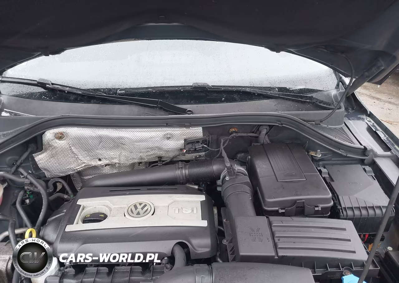2014 Volkswagen Tiguan S VIN:WVGBV3AX5EW516801 - 10
