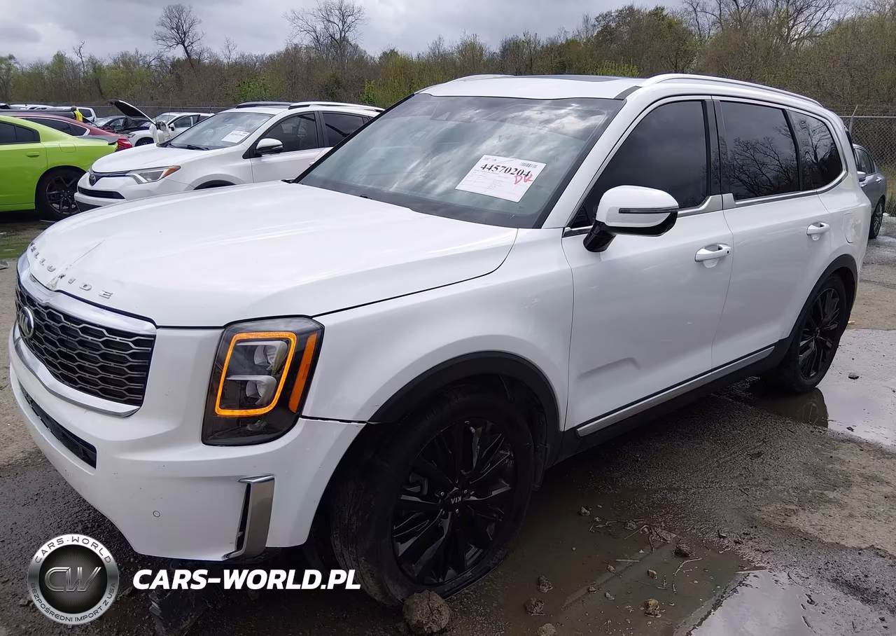2020 Kia Telluride Sx VIN:5XYP54HC6LG026235 - 2