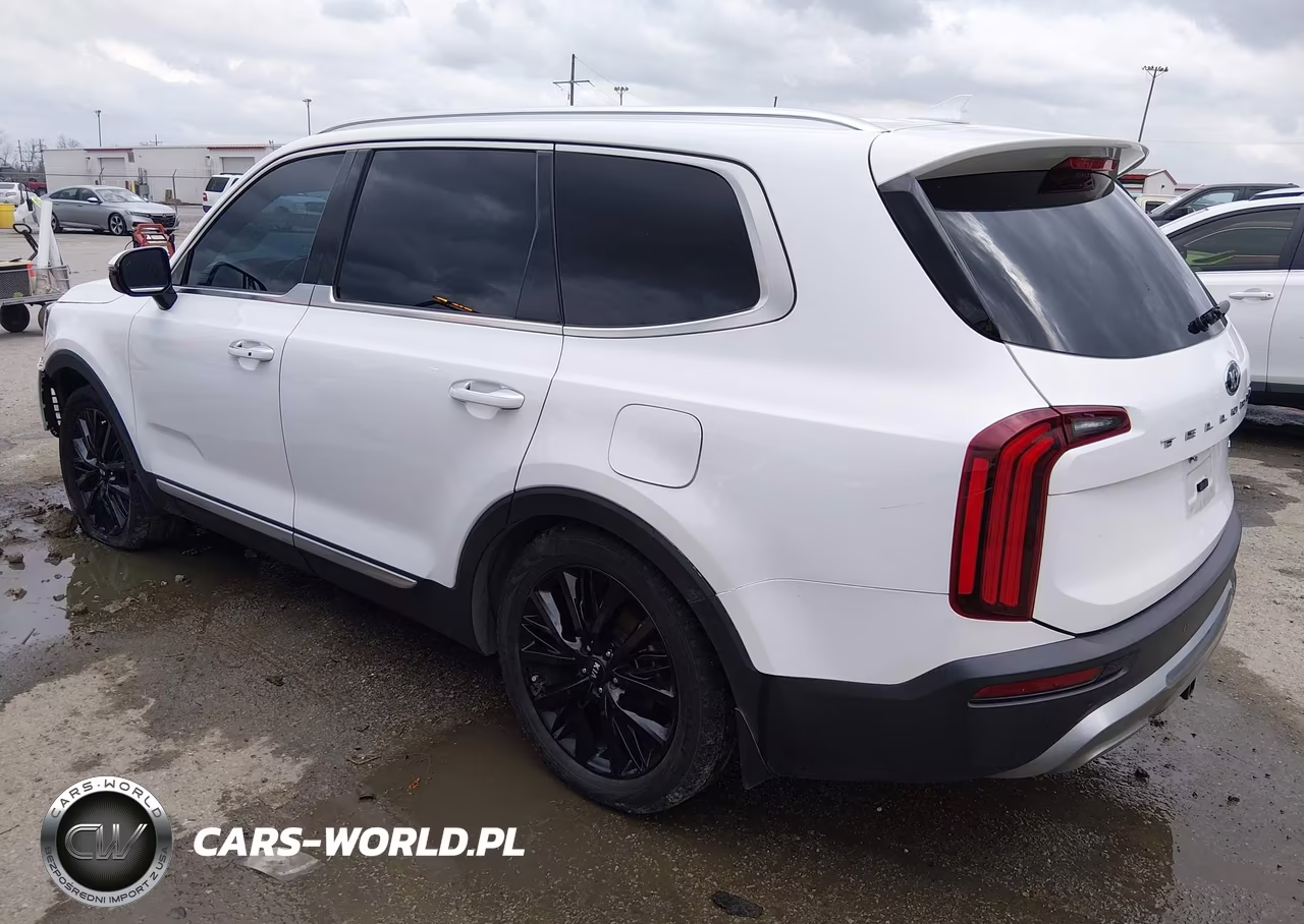 2020 Kia Telluride Sx VIN:5XYP54HC6LG026235 - 3