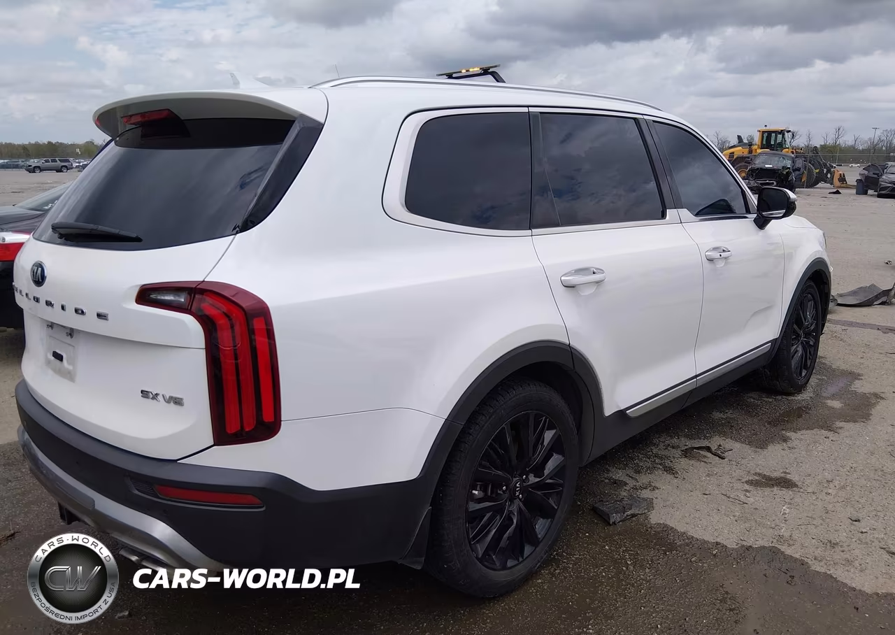 2020 Kia Telluride Sx VIN:5XYP54HC6LG026235 - 4