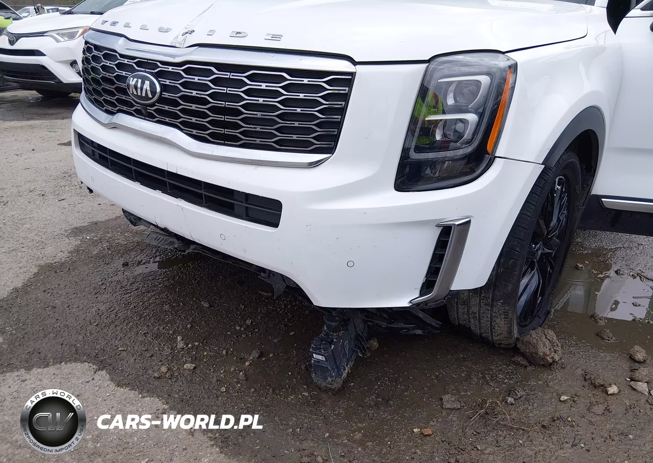 2020 Kia Telluride Sx VIN:5XYP54HC6LG026235 - 6