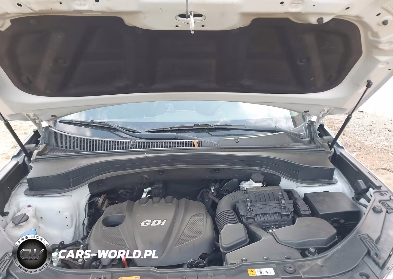 2014 Kia Sorento Lx VIN:5XYKTCA65EG520880 - 10