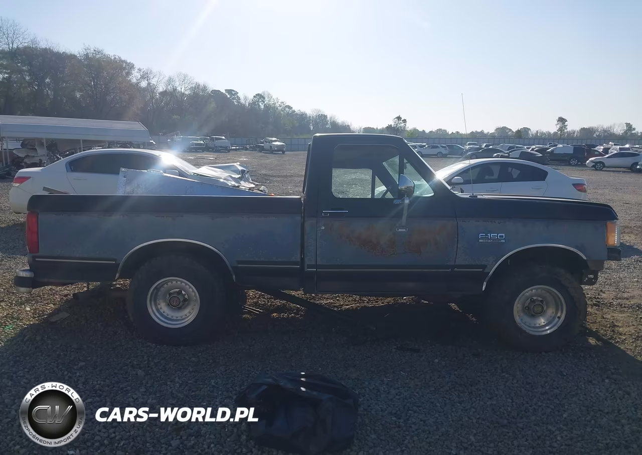 1990 Ford F150 VIN:1FTDF15N5LNA15398 - 13