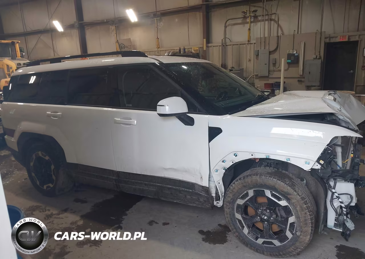 2025 Hyundai Santa Fe Sel VIN:5NMP2DGL0SH087403 - 13