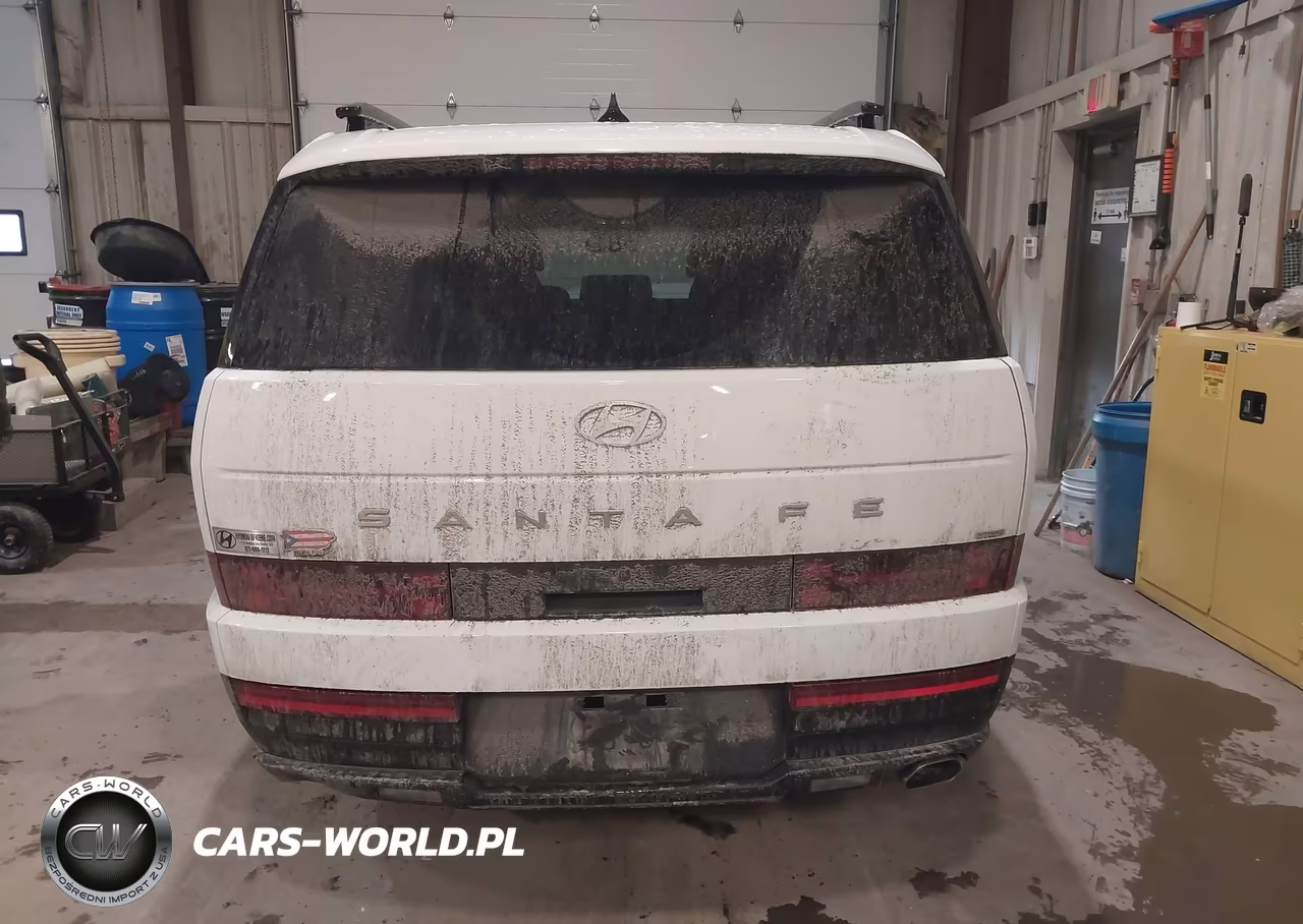 2025 Hyundai Santa Fe Sel VIN:5NMP2DGL0SH087403 - 16