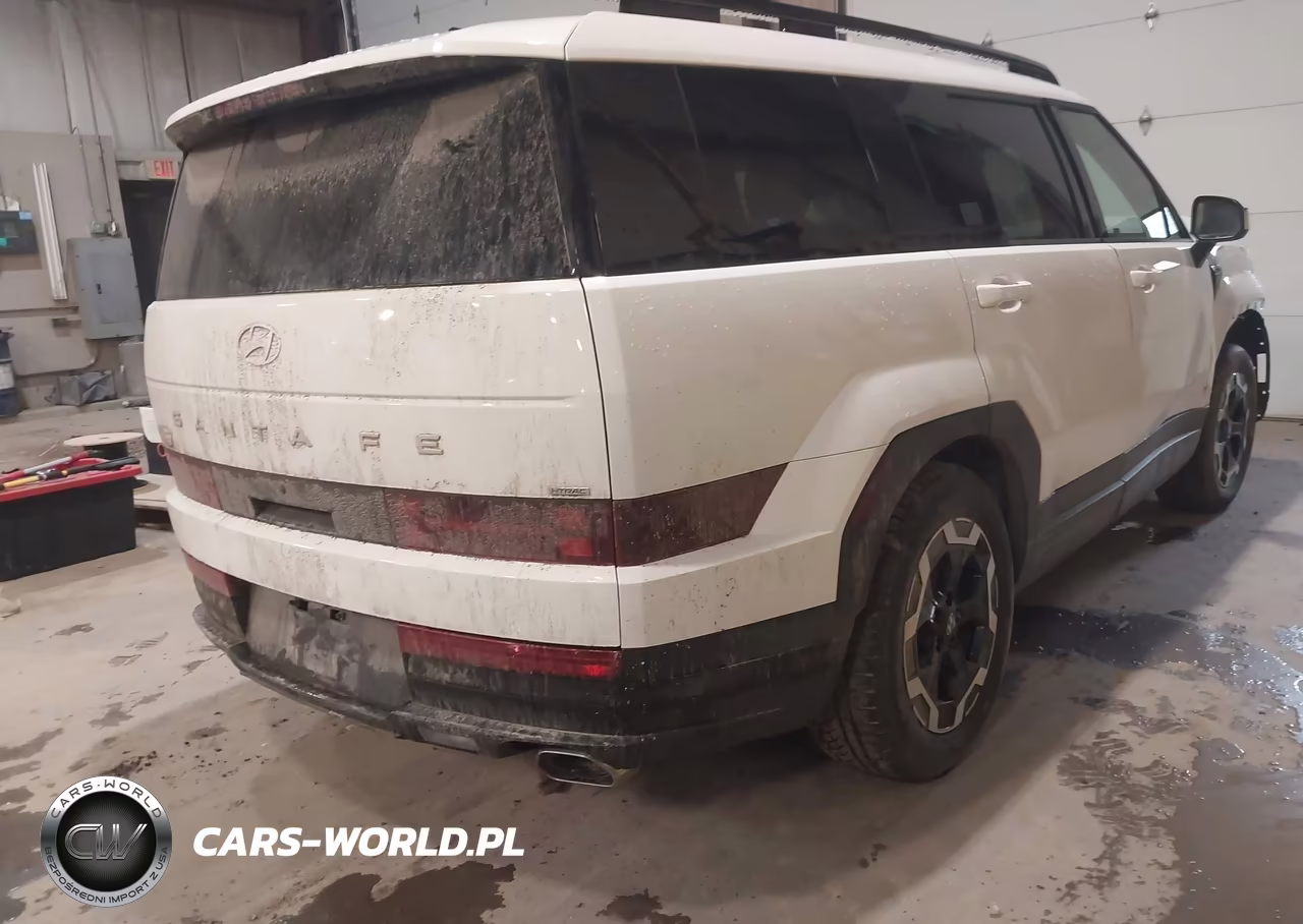 2025 Hyundai Santa Fe Sel VIN:5NMP2DGL0SH087403 - 4