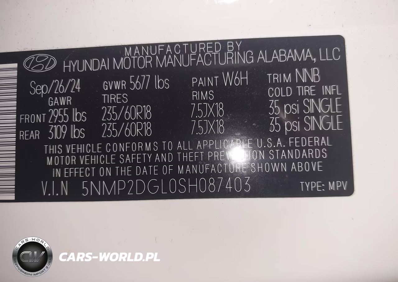 2025 Hyundai Santa Fe Sel VIN:5NMP2DGL0SH087403 - 9