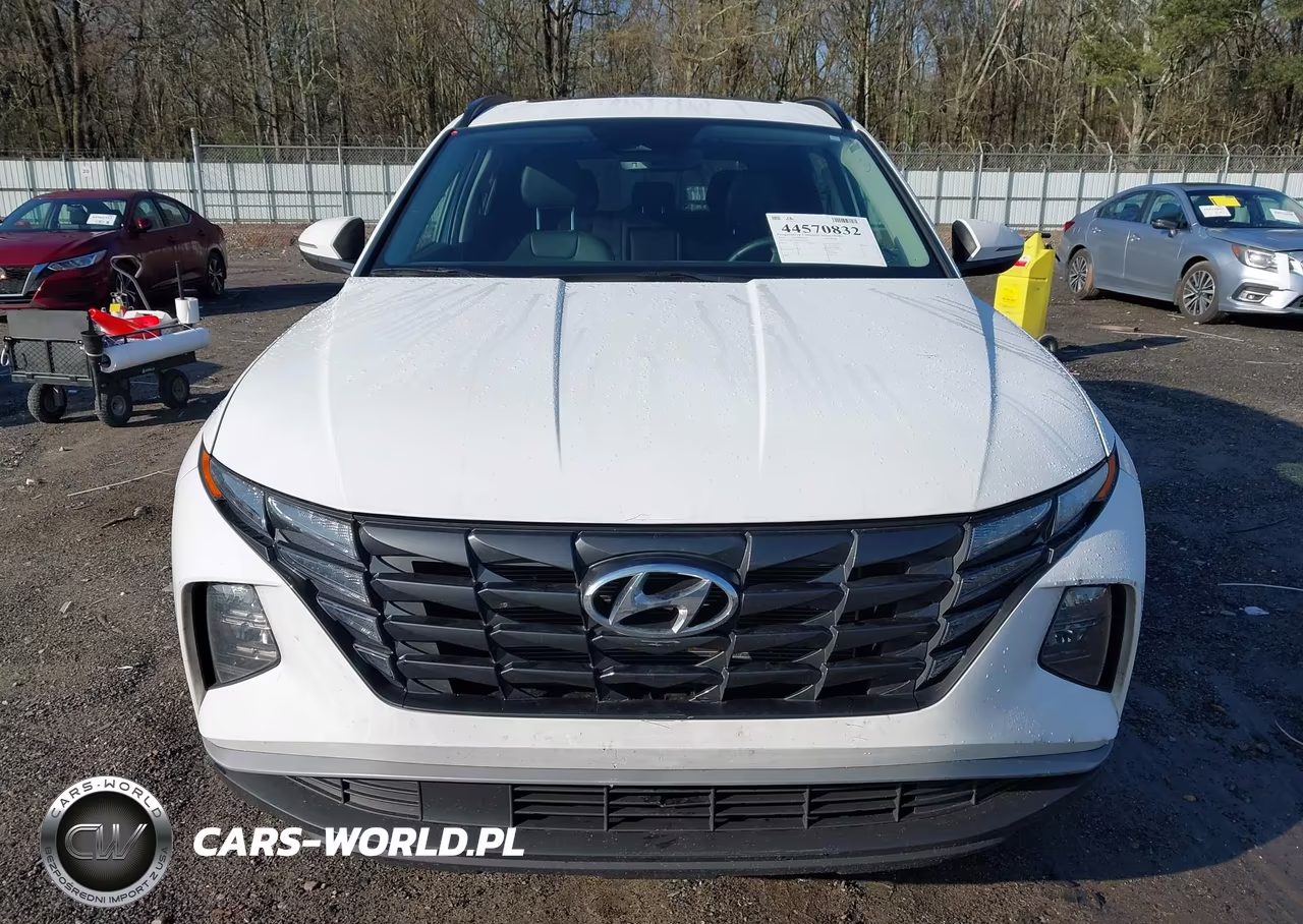 2024 Hyundai Tucson Sel VIN:5NMJFCDE5RH341529 - 13
