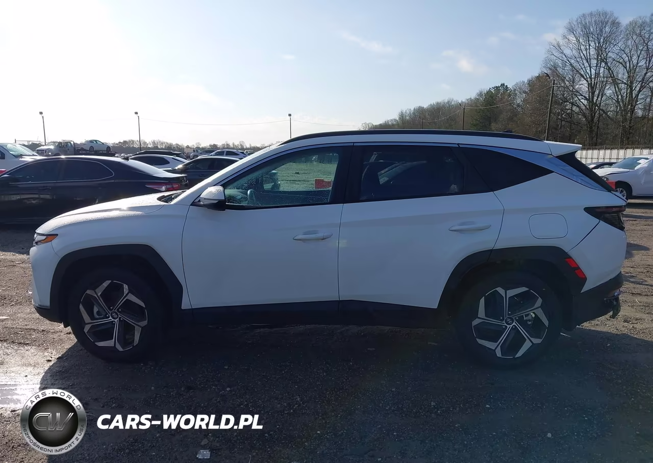 2024 Hyundai Tucson Sel VIN:5NMJFCDE5RH341529 - 15