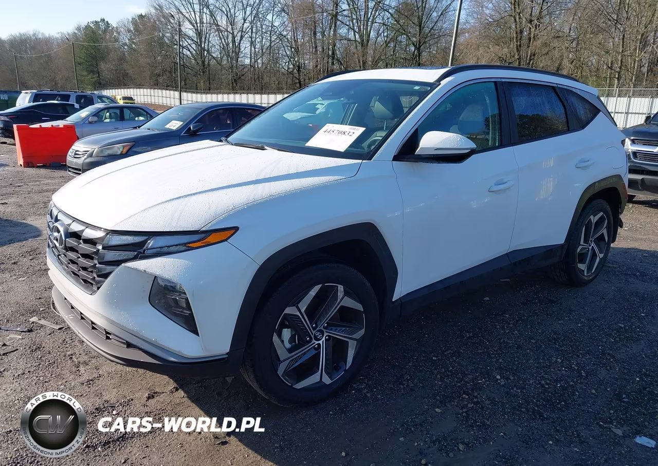 2024 Hyundai Tucson Sel VIN:5NMJFCDE5RH341529 - 2