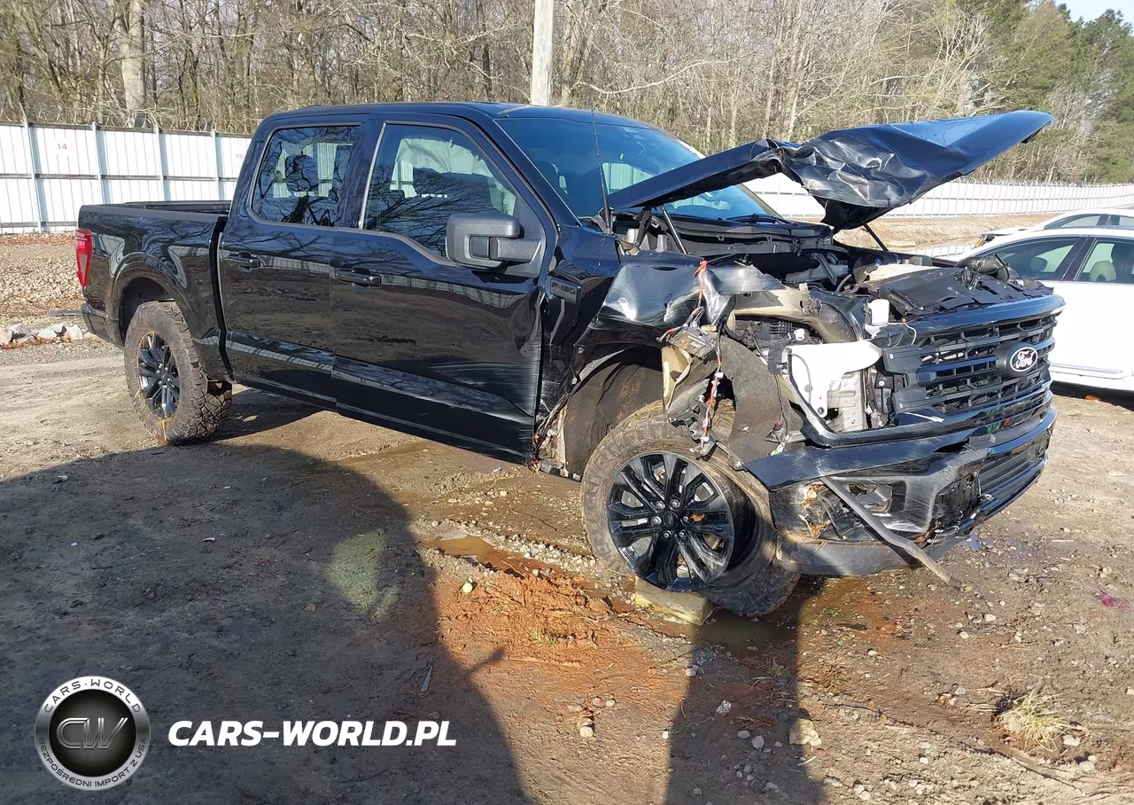 2025 Ford F-150 Xlt – zdjęcie 1 z 18