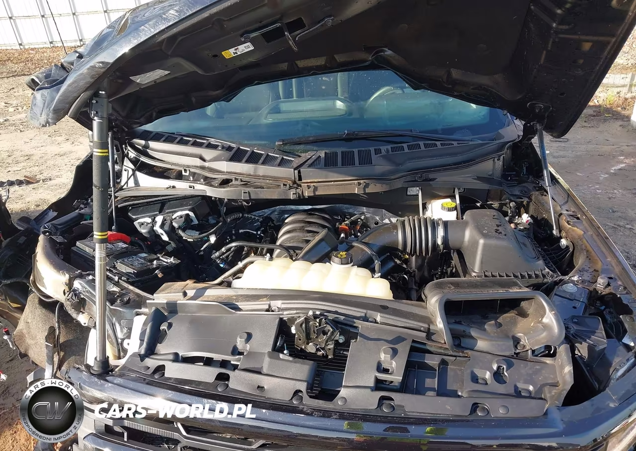 2025 Ford F-150 Xlt VIN:1FTFW3L54SFB06131 - 10