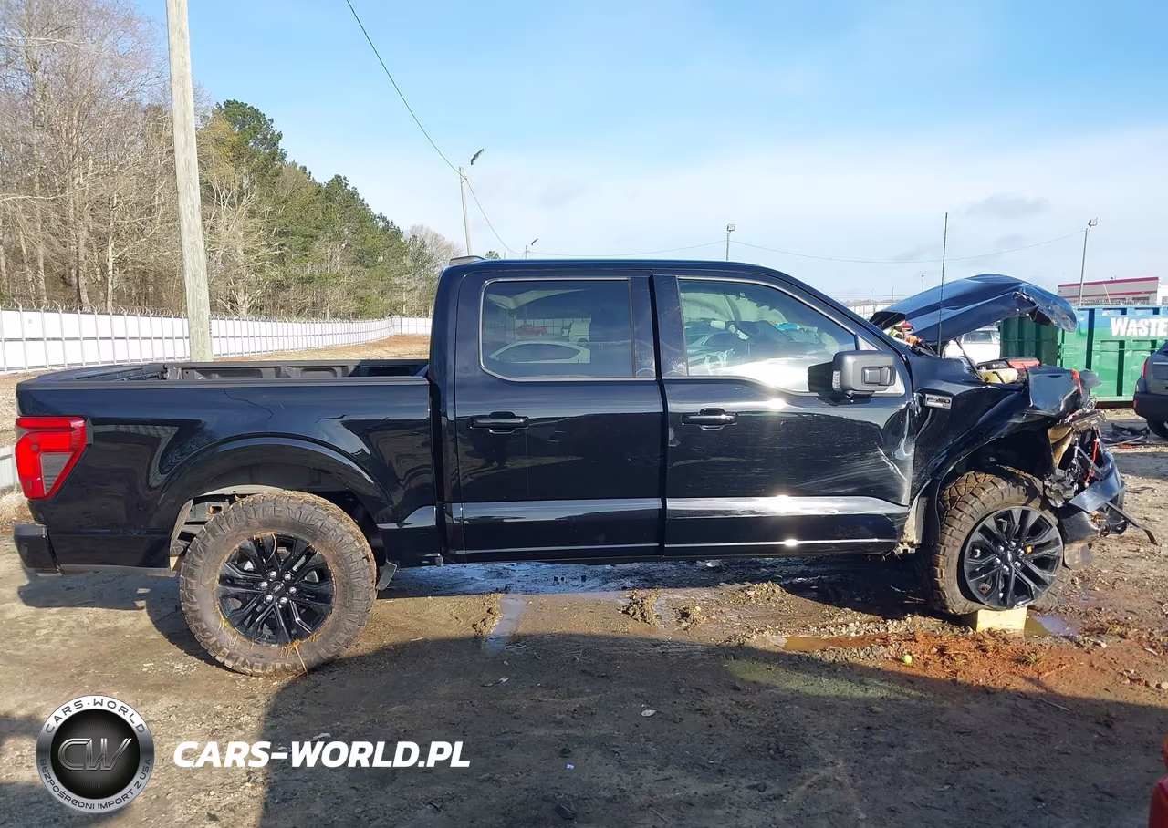 2025 Ford F-150 Xlt VIN:1FTFW3L54SFB06131 - 13