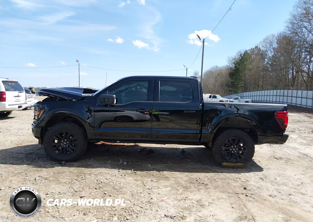 2025 Ford F-150 Xlt VIN:1FTFW3L54SFB06131 - 14