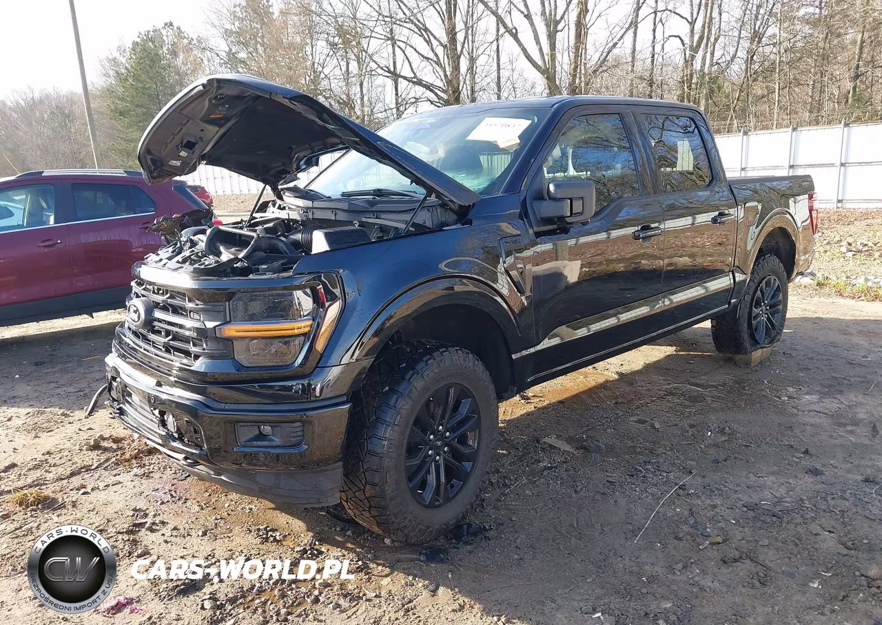 2025 Ford F-150 Xlt VIN:1FTFW3L54SFB06131 - 2