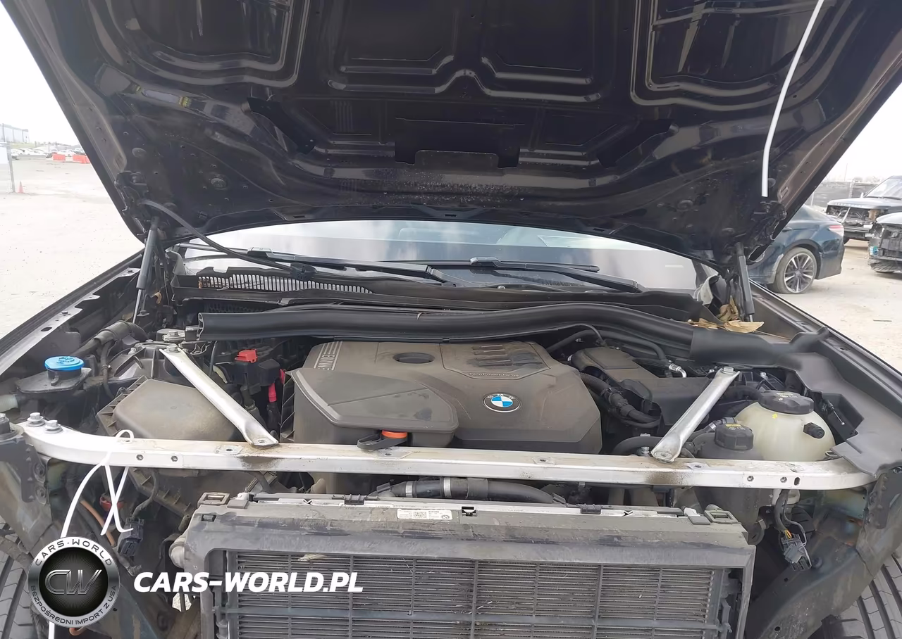 2021 BMW X3 Sdrive30I VIN:5UXTY3C05M9D71242 - 10
