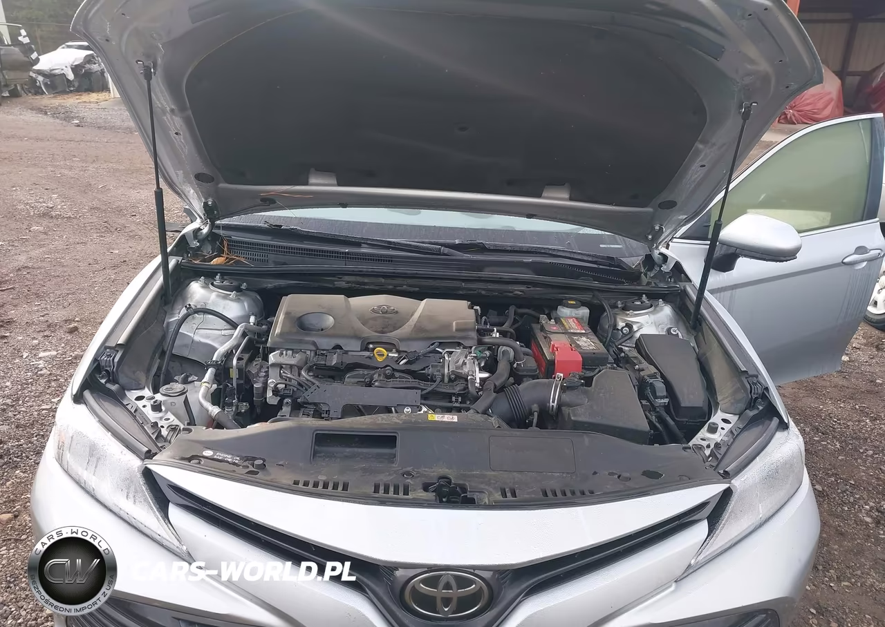 2018 Toyota Camry Le VIN:JTNB11HK7J3030206 - 10