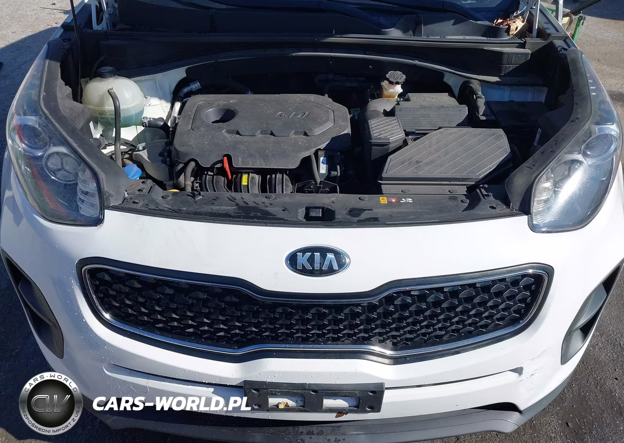2018 Kia Sportage Lx VIN:KNDPM3AC1J7315539 - 10