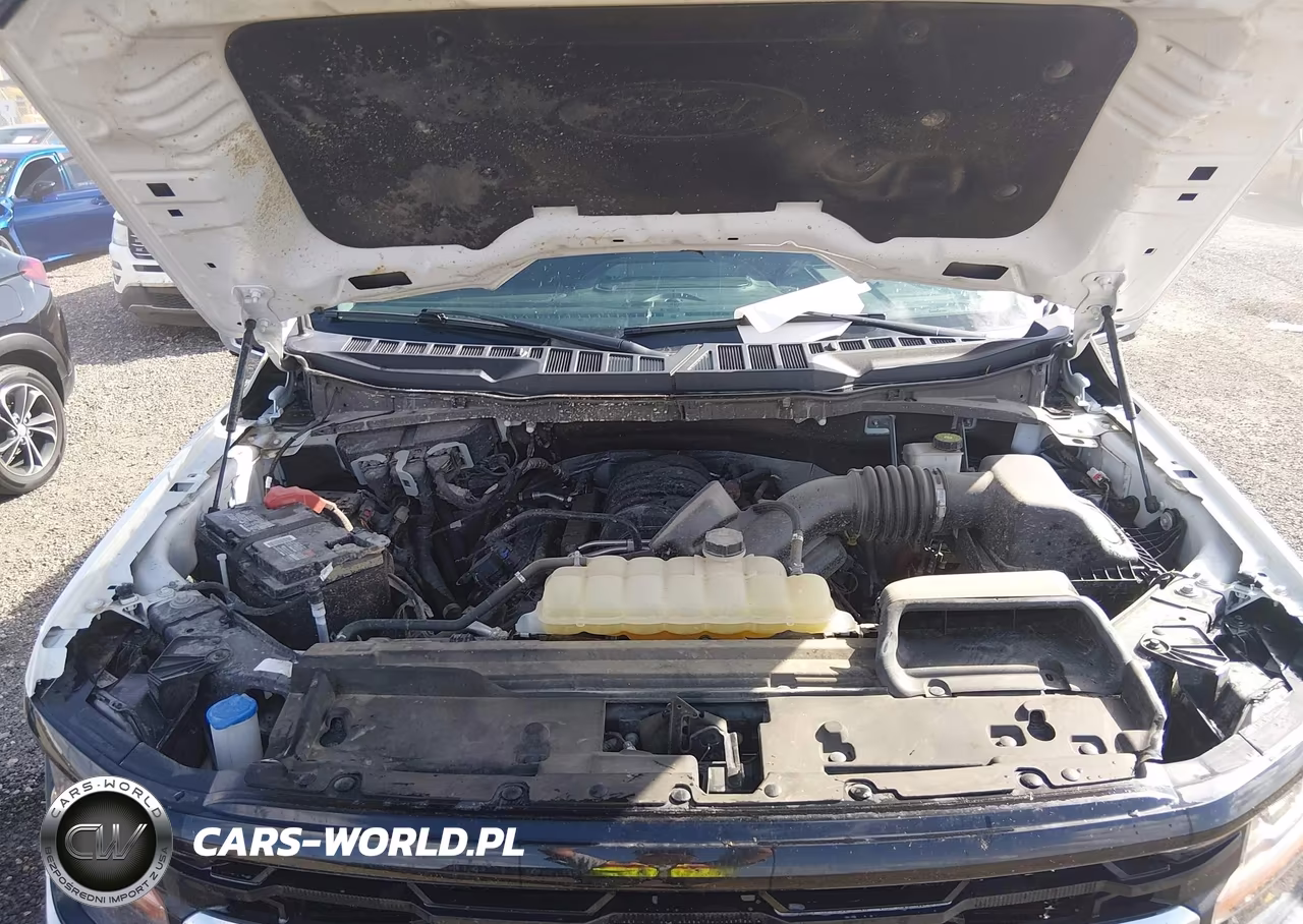 2024 Ford F-150 Xlt VIN:1FTFW3L57RKD57369 - 10