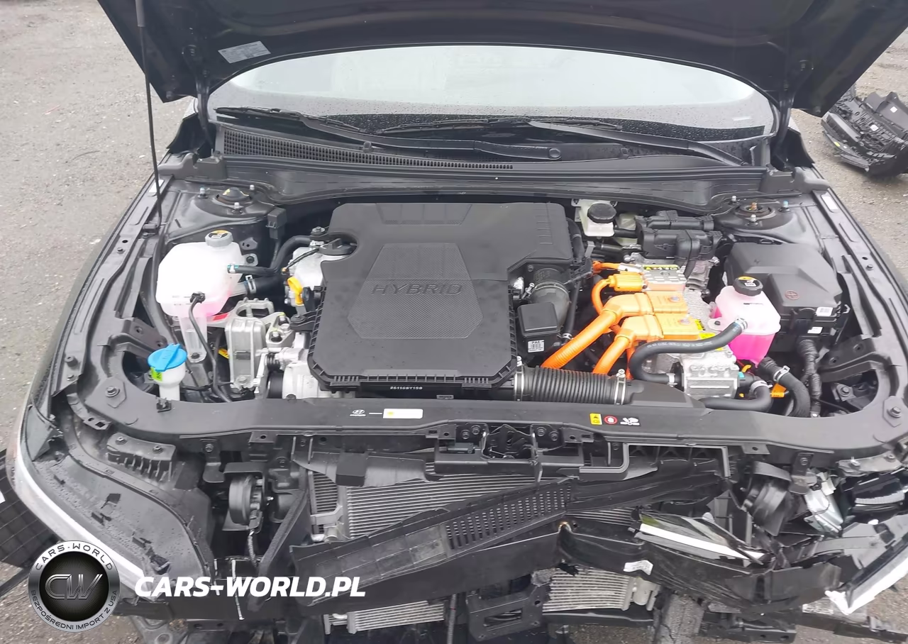 2025 Hyundai Elantra Hybrid Limited VIN:KMHLN4DJ9SU177355 - 10