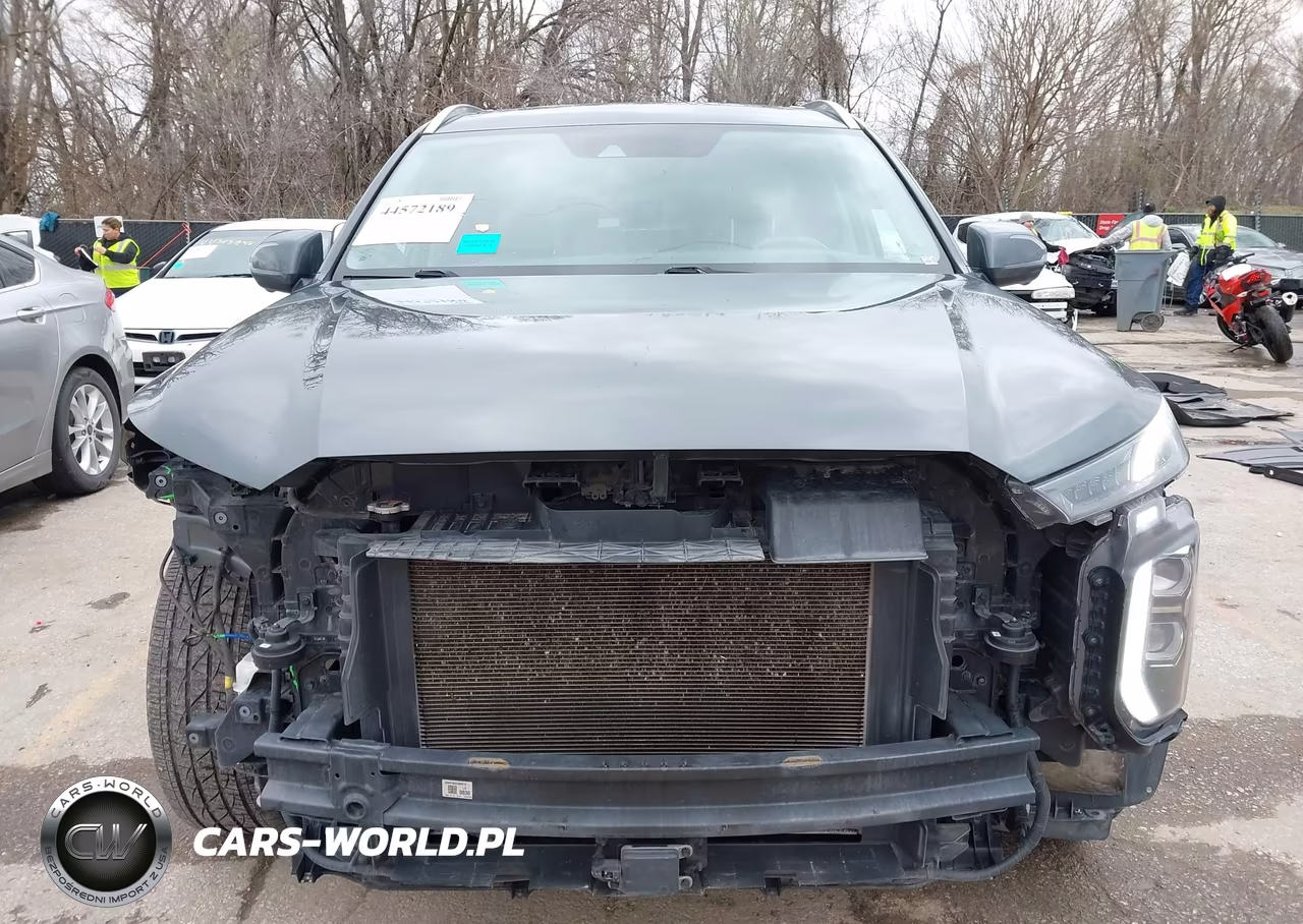 2021 Hyundai Palisade Limited VIN:KM8R5DHE6MU188114 - 13