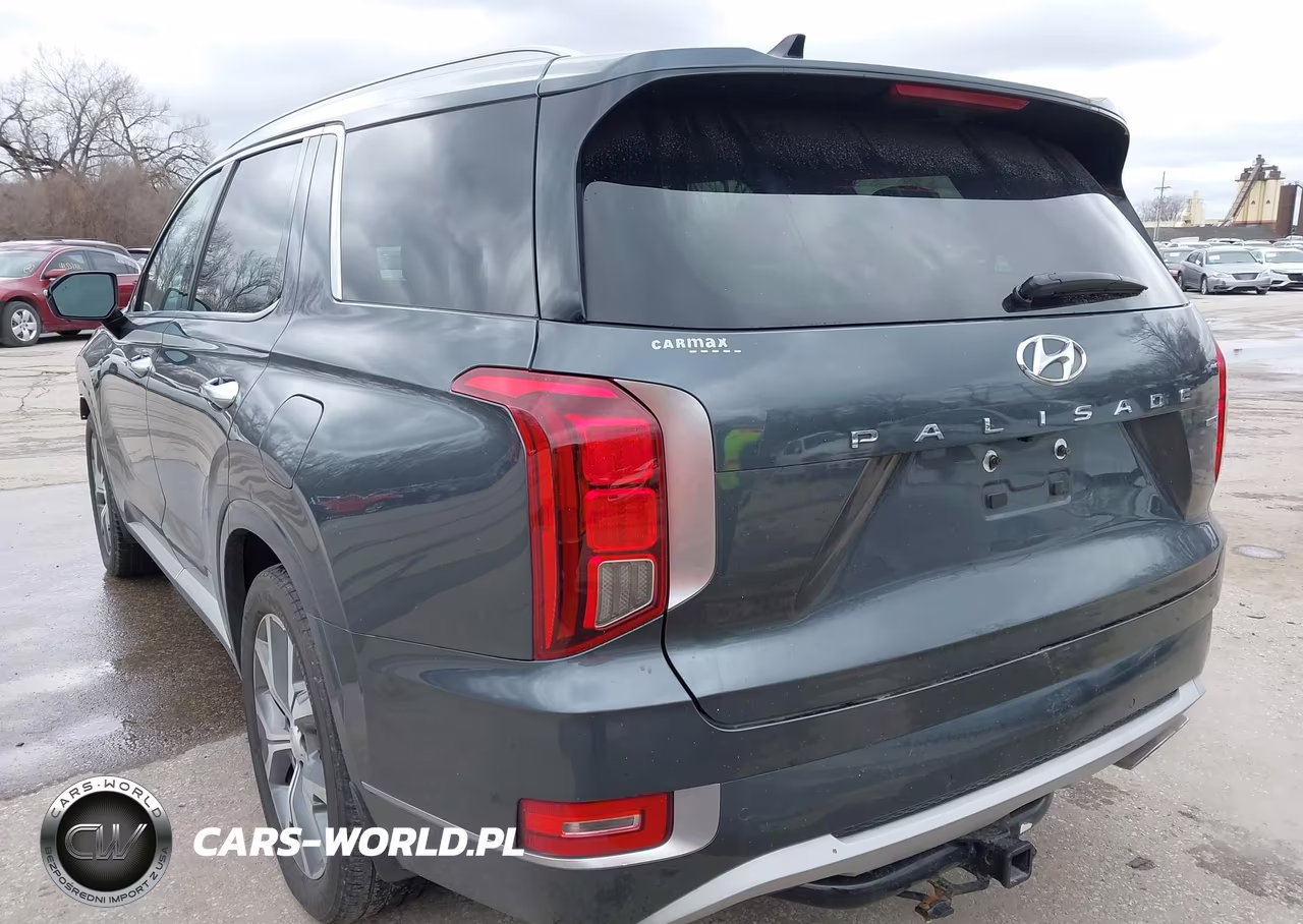 2021 Hyundai Palisade Limited VIN:KM8R5DHE6MU188114 - 3