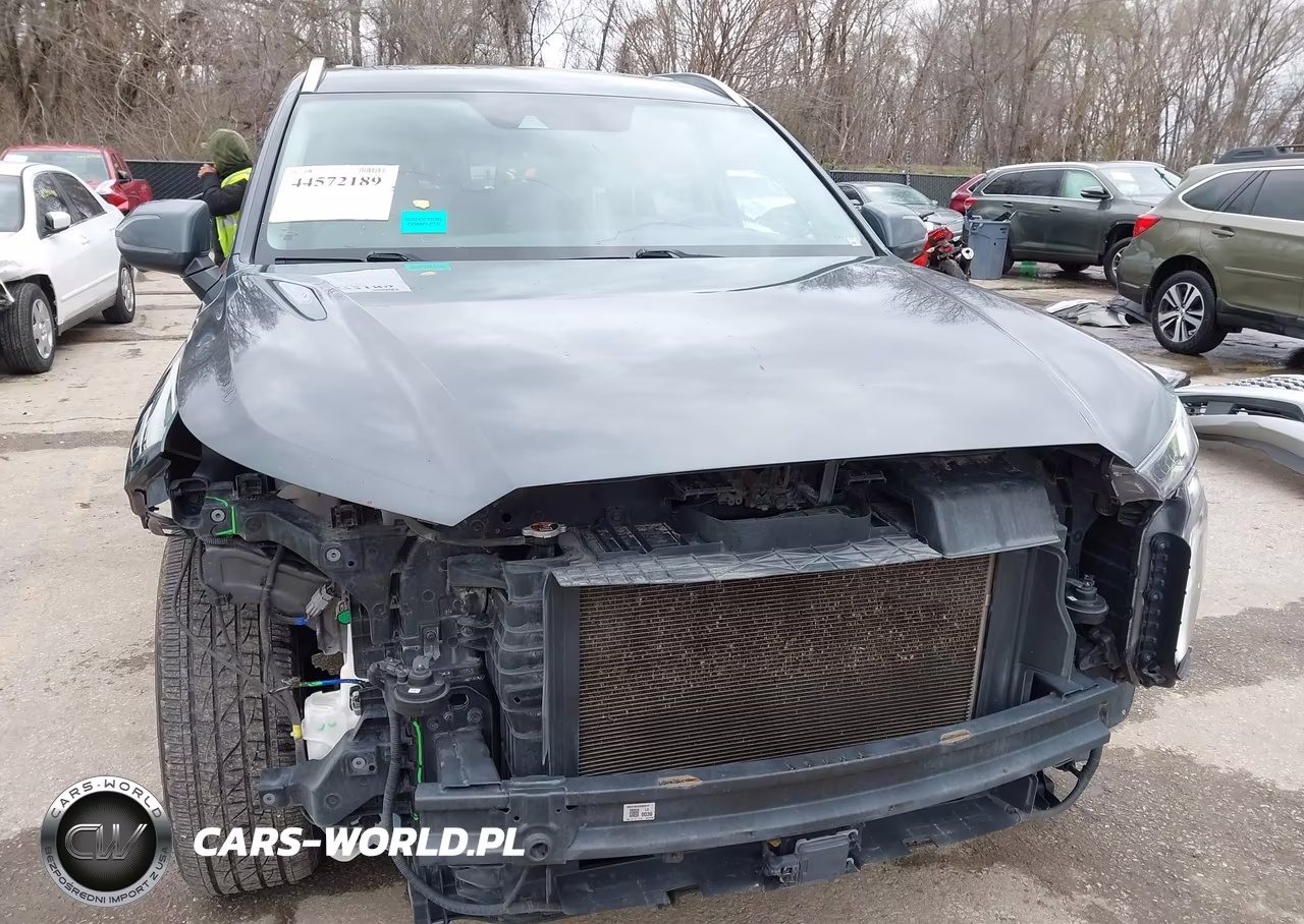 2021 Hyundai Palisade Limited VIN:KM8R5DHE6MU188114 - 6