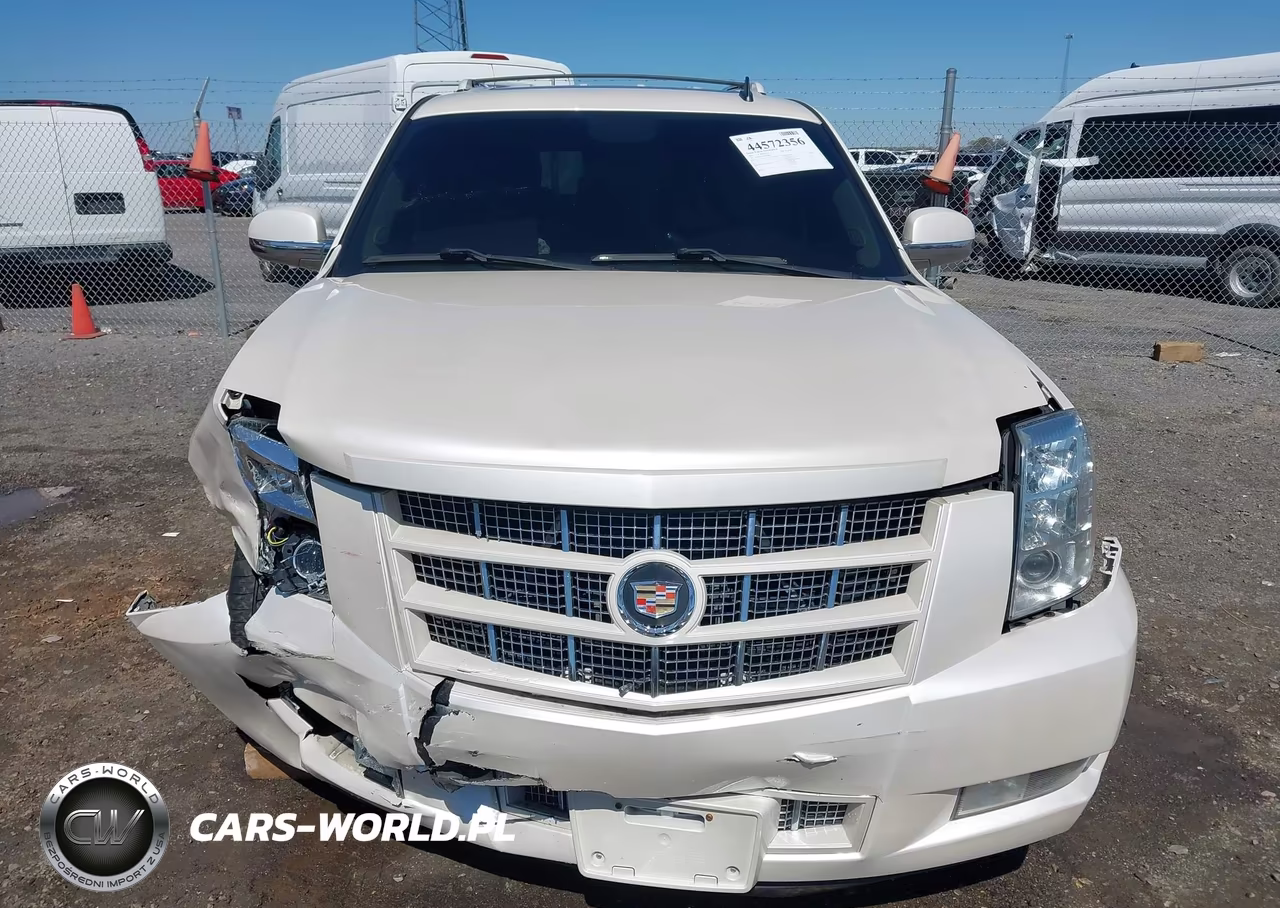 2013 Cadillac Escalade Premium VIN:1GYS4CEF6DR159466 - 13