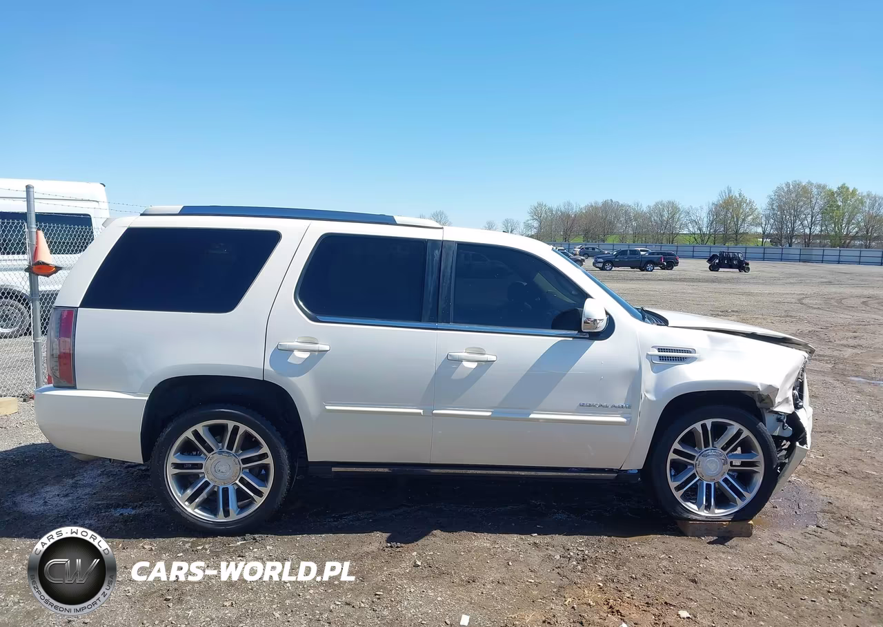 2013 Cadillac Escalade Premium VIN:1GYS4CEF6DR159466 - 14