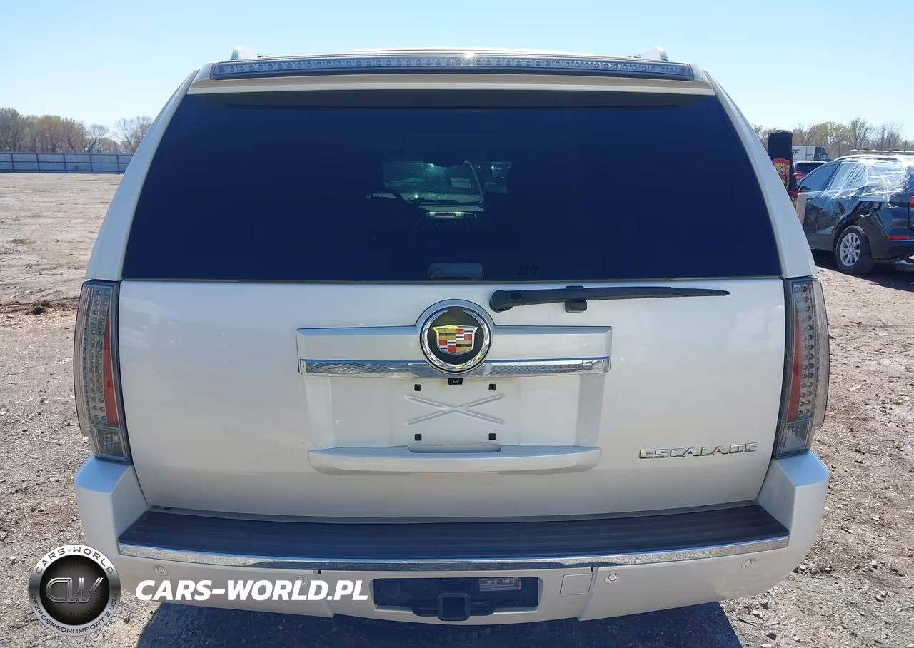 2013 Cadillac Escalade Premium VIN:1GYS4CEF6DR159466 - 17