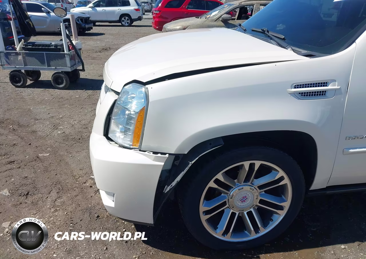 2013 Cadillac Escalade Premium VIN:1GYS4CEF6DR159466 - 19