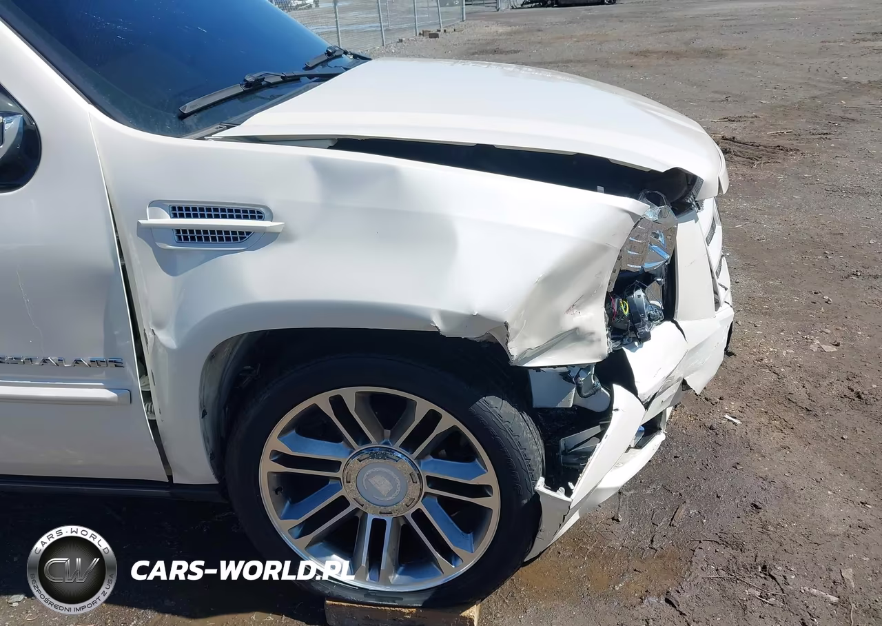 2013 Cadillac Escalade Premium VIN:1GYS4CEF6DR159466 - 20