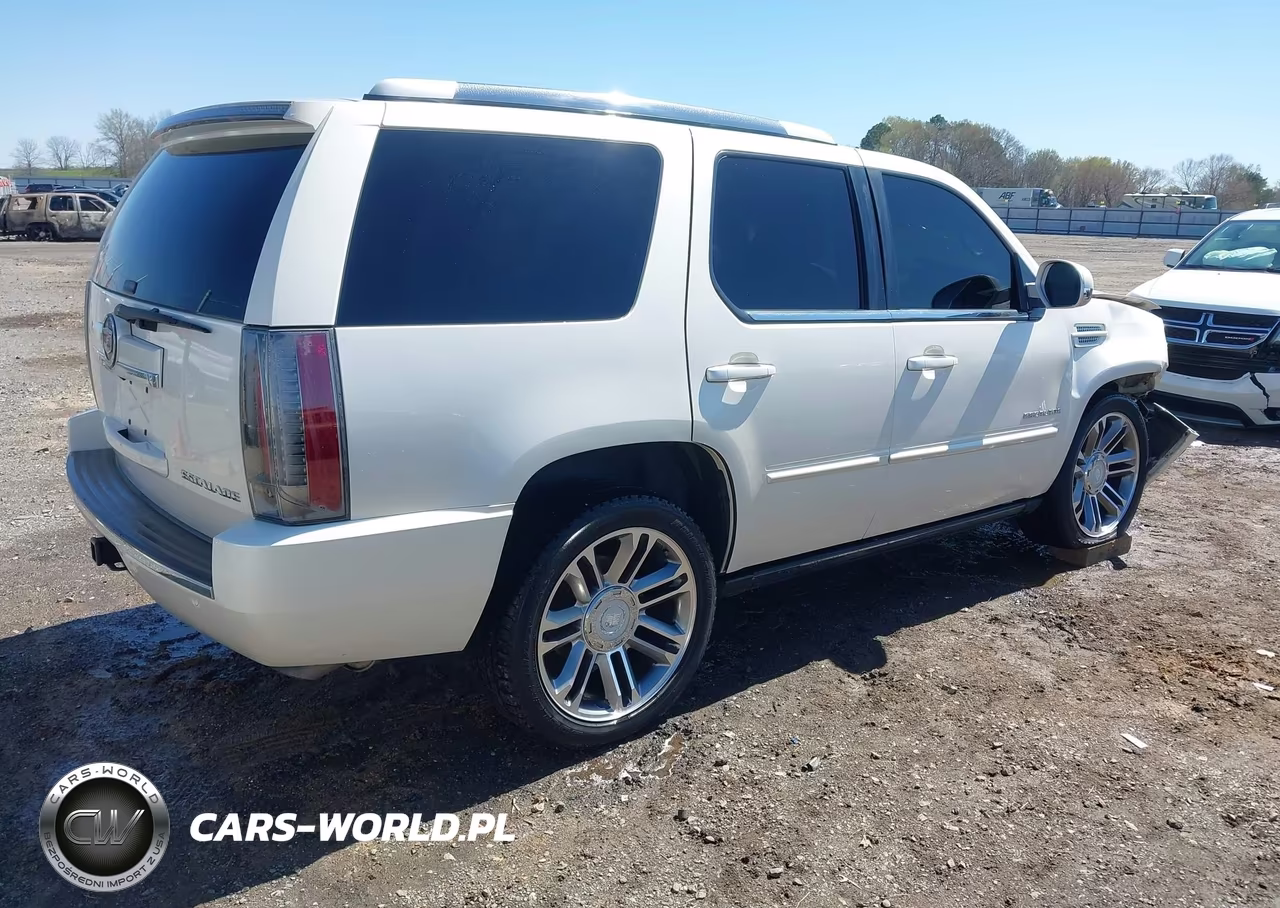 2013 Cadillac Escalade Premium VIN:1GYS4CEF6DR159466 - 4