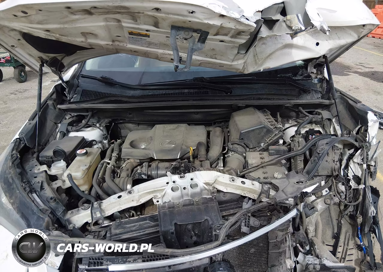 2021 Lexus Nx 300 VIN:JTJGARDZ1M5024581 - 10