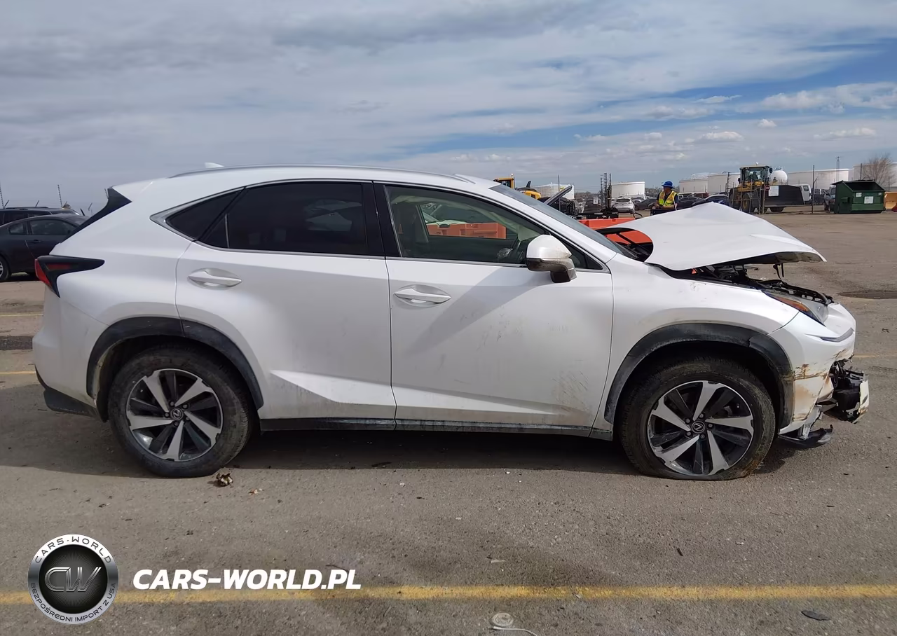 2021 Lexus Nx 300 VIN:JTJGARDZ1M5024581 - 13
