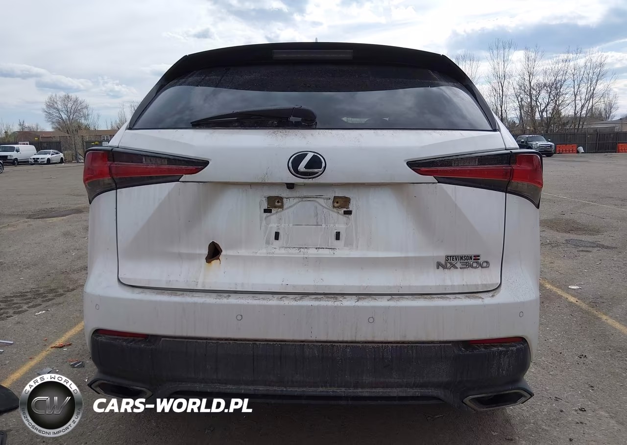 2021 Lexus Nx 300 VIN:JTJGARDZ1M5024581 - 16