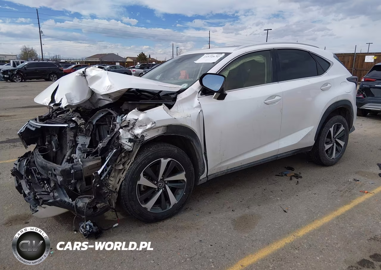 2021 Lexus Nx 300 VIN:JTJGARDZ1M5024581 - 2