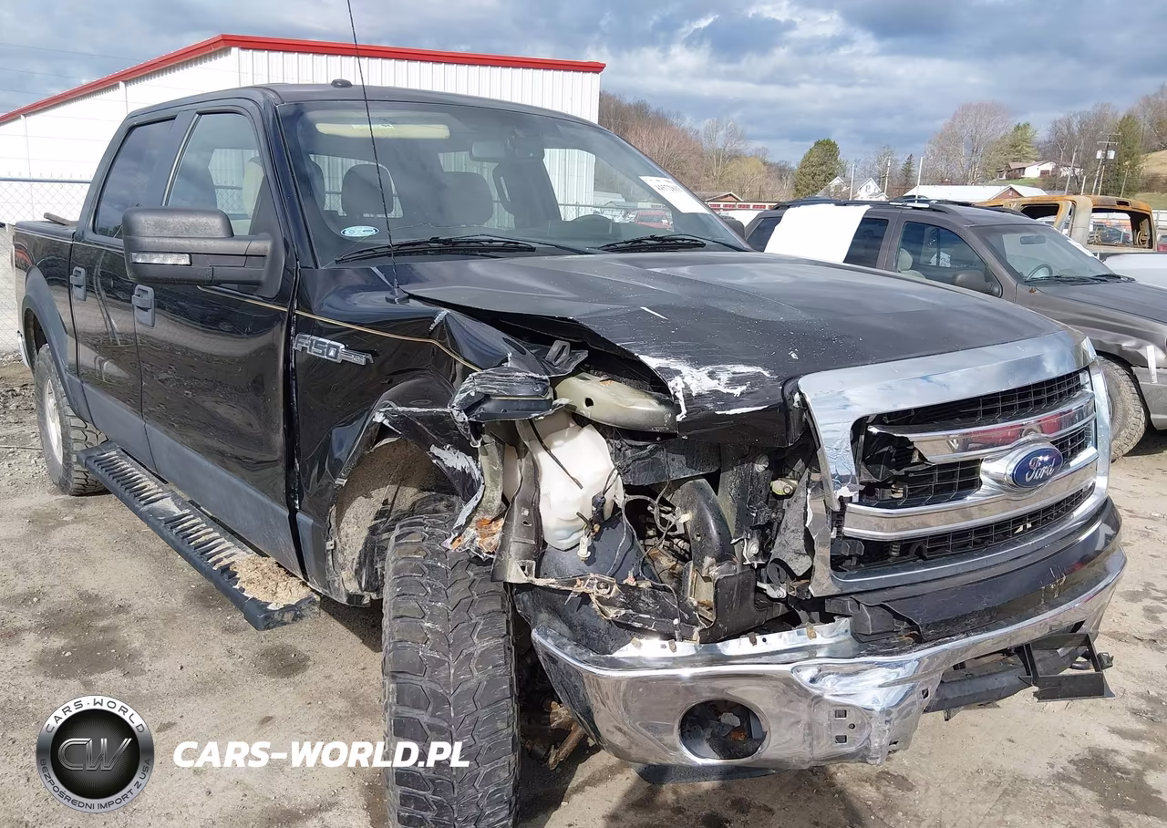 2014 Ford F-150 Xlt – zdjęcie 1 z 16