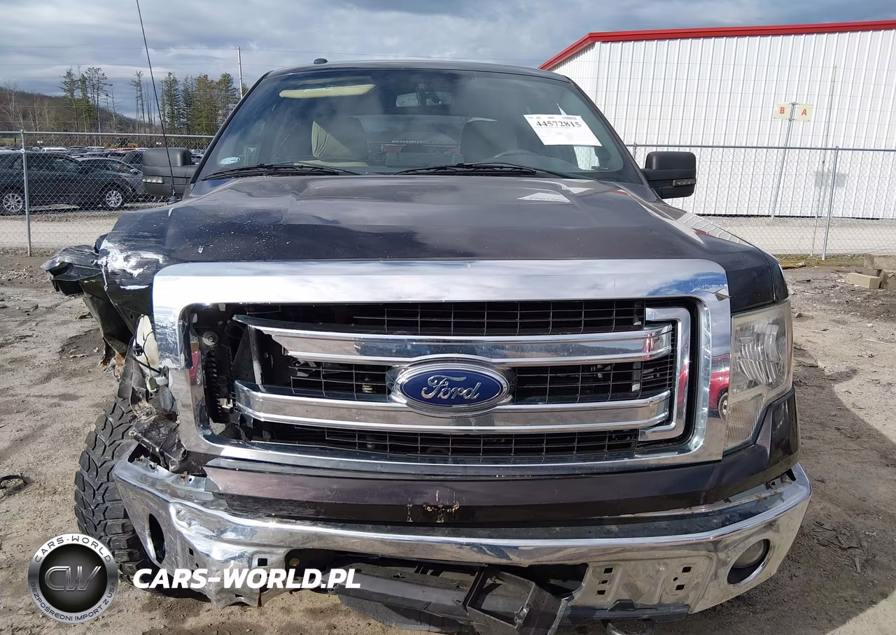 2014 Ford F-150 Xlt VIN:1FTFW1EF6EKF03359 - 12