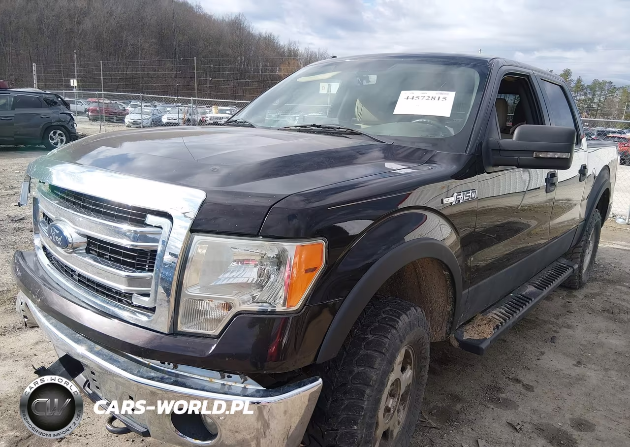 2014 Ford F-150 Xlt VIN:1FTFW1EF6EKF03359 - 2