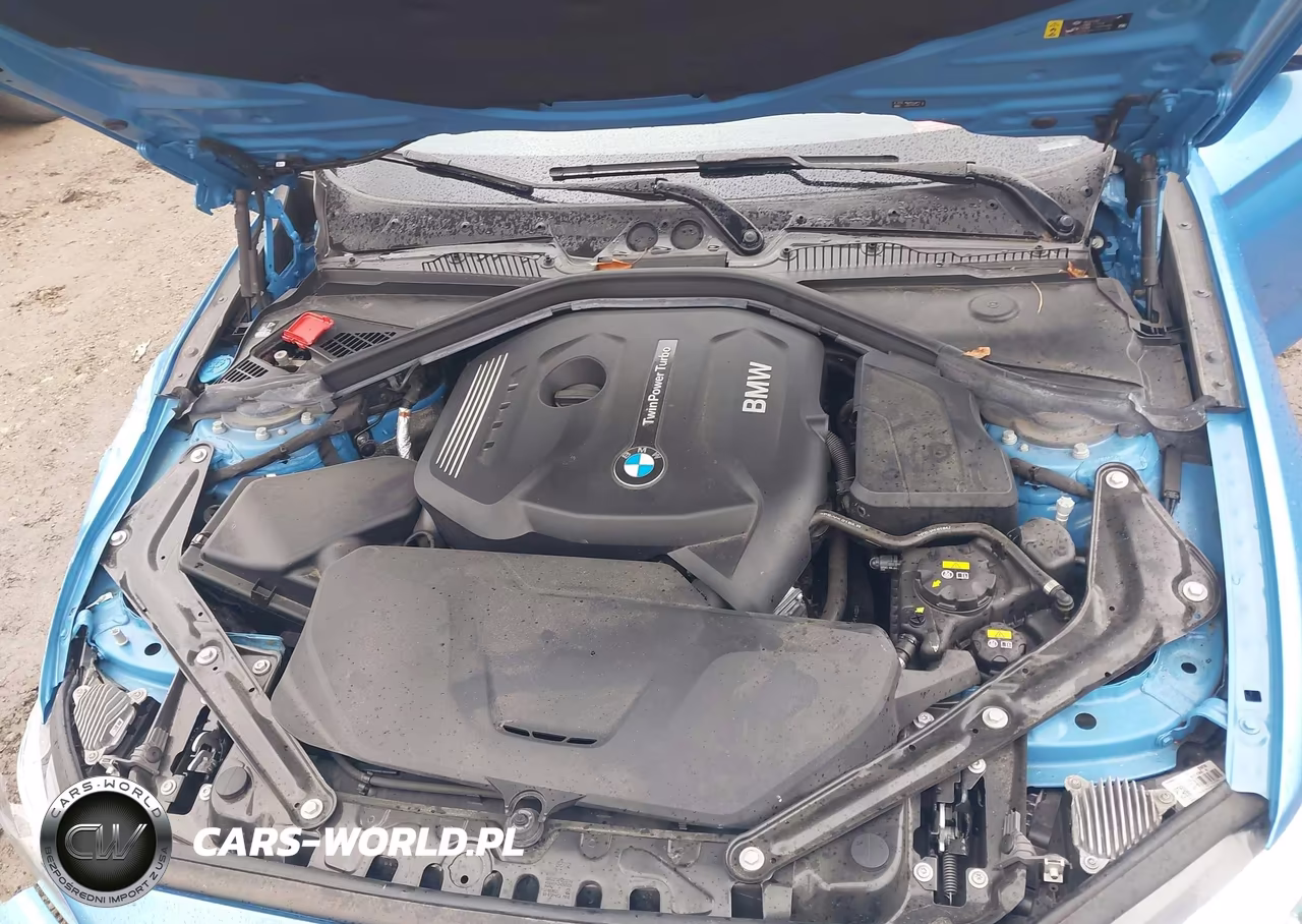 2020 BMW 230I xDrive VIN:WBA2K1C03L7F02047 - 10