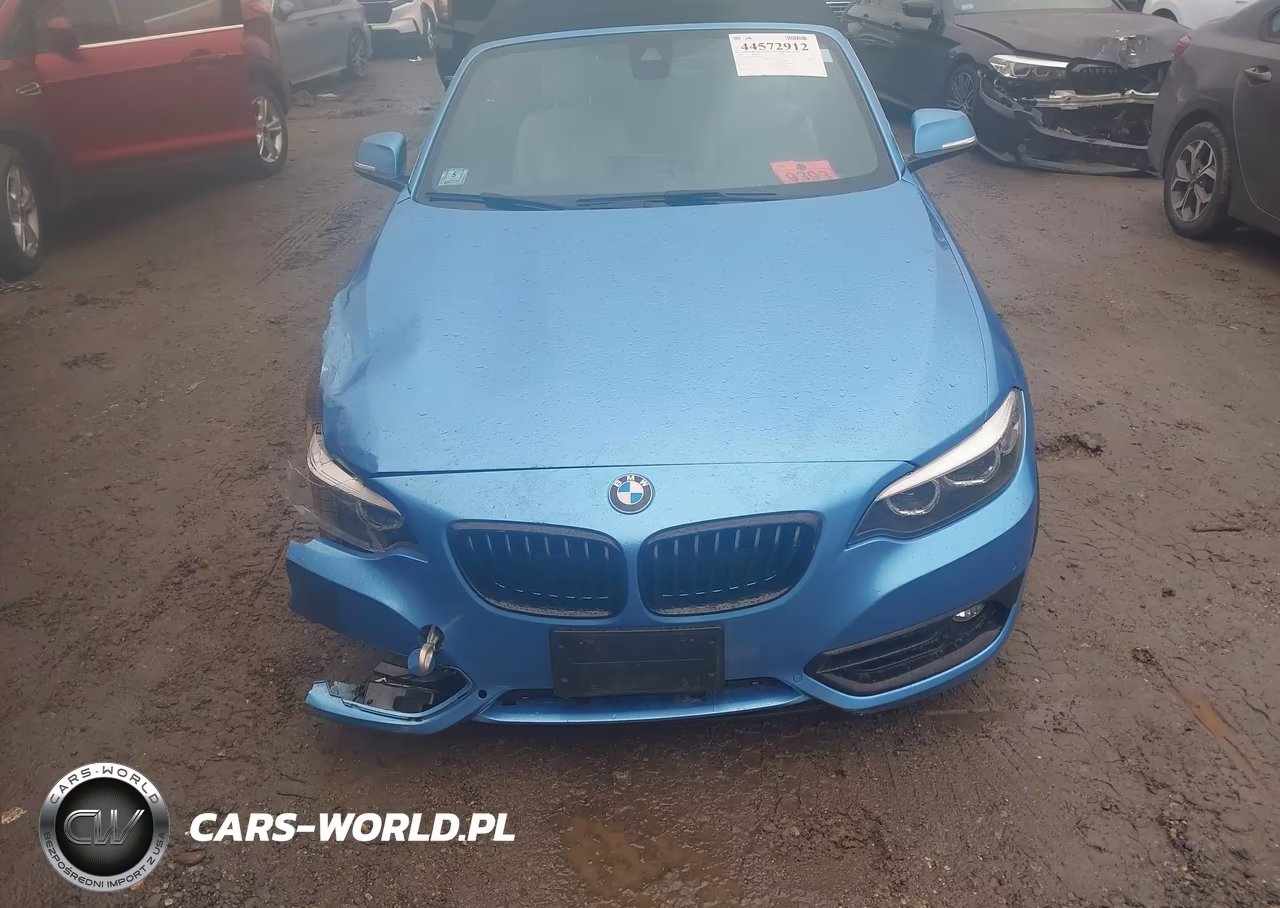 2020 BMW 230I xDrive VIN:WBA2K1C03L7F02047 - 12
